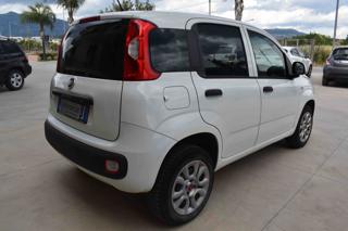 FIAT Panda usata 14