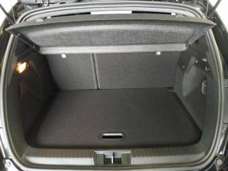 RENAULT Captur usata, con Controllo vocale
