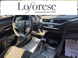 LEXUS UX 250h usata, con Cruise Control