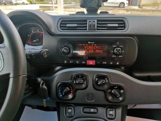 FIAT Panda usata, con Sensori di parcheggio posteriori