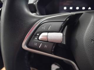 SKODA Fabia usata 18