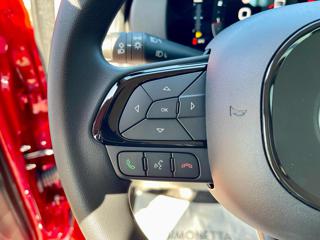 FIAT Panda usata, con Controllo vocale