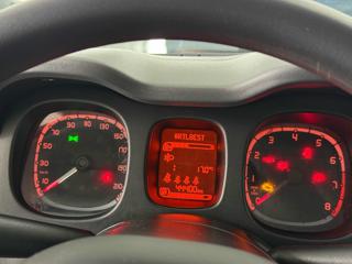 FIAT Panda usata 10