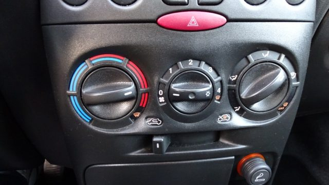 FIAT Punto usata 100