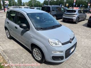 FIAT Panda usata, con Airbag Passeggero