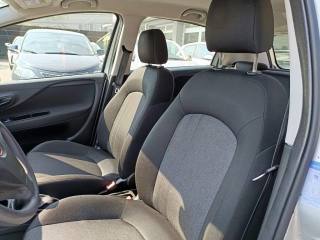 FIAT Punto usata 17