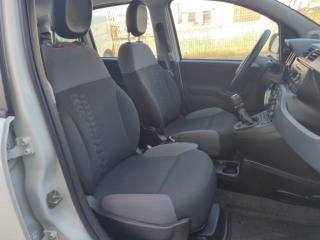 FIAT Panda usata, con Airbag testa