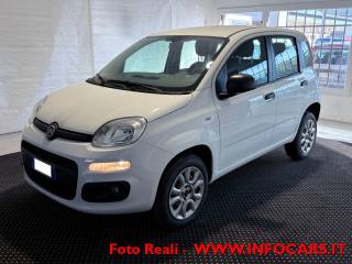 FIAT Panda usata, con Airbag Passeggero