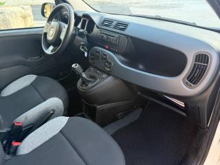 FIAT Panda usata 12