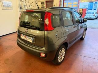 FIAT Panda usata, con Alzacristalli elettrici