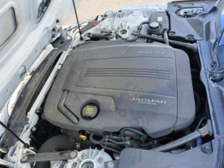 JAGUAR F-Type usata 42