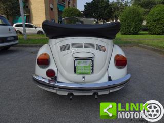 VOLKSWAGEN Maggiolone usata 4