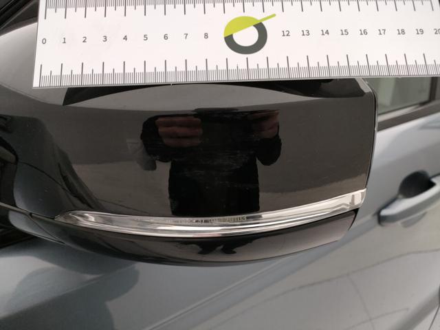 LAND ROVER Range Rover Sport usata 65