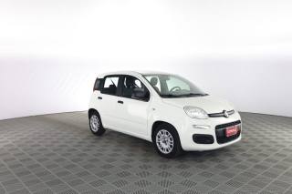 FIAT Panda usata 1