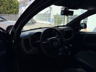 FIAT Panda usata 35