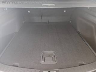 SUZUKI Swace usata, con Cruise Control