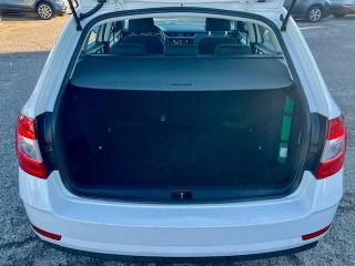 SKODA Octavia usata, con Volante multifunzione