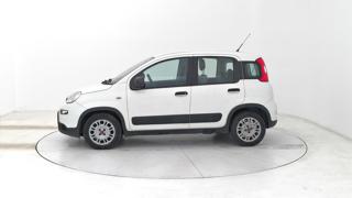 FIAT Panda usata, con Airbag