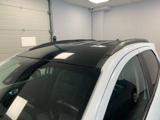 FORD EcoSport usata, con Vetri oscurati