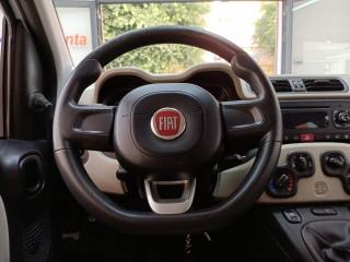 FIAT Panda usata 11