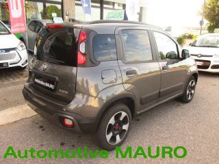 FIAT Panda Cross usata, con Controllo trazione