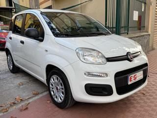 FIAT Panda usata, con Alzacristalli elettrici