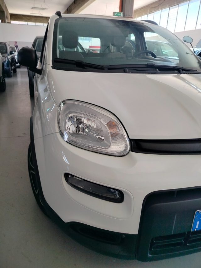 FIAT Panda usata 18