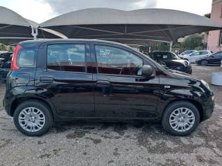FIAT Panda usata, con Chiusura centralizzata