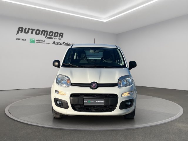 FIAT Panda usata 1