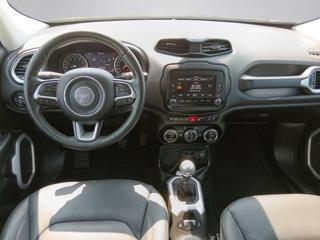 JEEP Renegade usata, con Climatizzatore