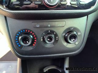 FIAT Punto usata 14