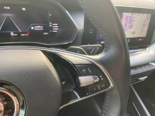 SKODA Octavia usata, con Cruise Control