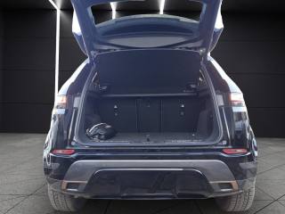 LAND ROVER Range Rover Evoque usata, con Volante in pelle