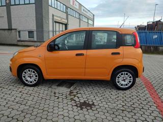 FIAT Panda usata, con Airbag