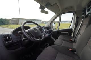 OPEL Movano usata 5