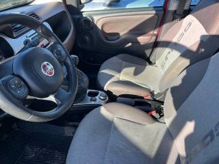 FIAT Panda Cross usata, con Climatizzatore