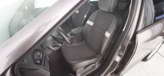 RENAULT Scenic usata 36