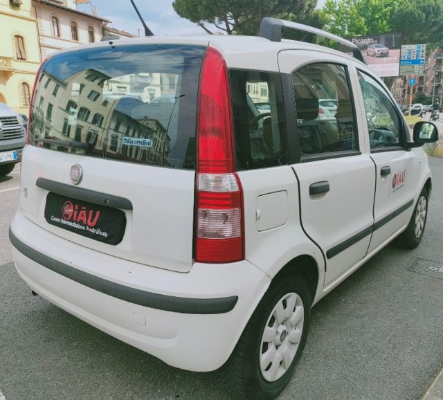 FIAT Panda usata, con Fendinebbia