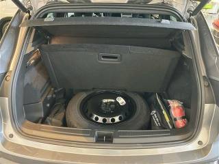 RENAULT Austral usata 28