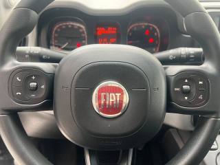 FIAT Panda usata, con Cronologia tagliandi