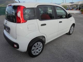 FIAT Panda usata 12