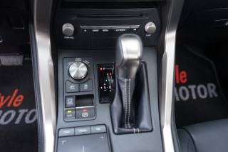 LEXUS NX 300h usata, con Boardcomputer