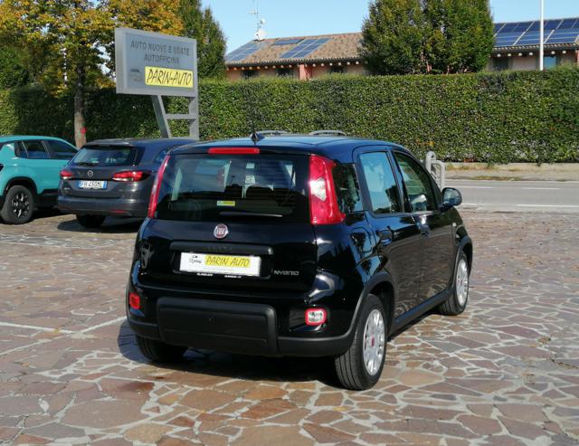 FIAT Panda usata, con Alzacristalli elettrici