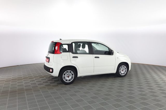 FIAT Panda usata 2