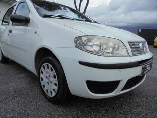 FIAT Punto usata 10
