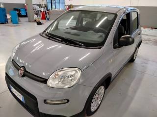 FIAT Panda usata, con Servosterzo