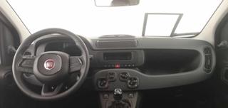 FIAT Panda usata, con Servosterzo