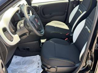 FIAT Panda usata, con Immobilizzatore elettronico