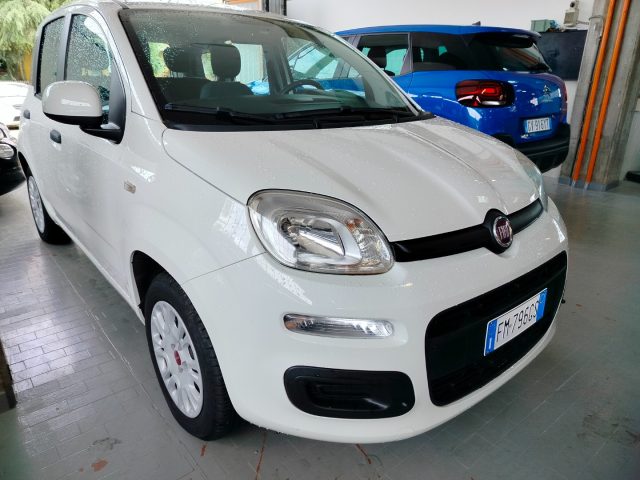 FIAT Panda usata, con Airbag testa