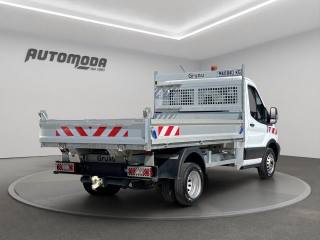 FORD Transit usata, con Bracciolo